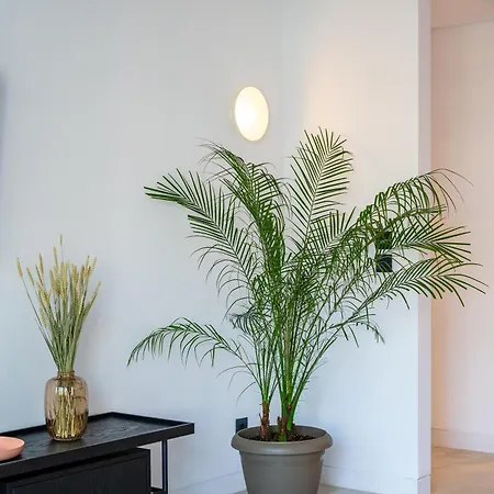 公寓式酒店 Memphis Center 科斯镇