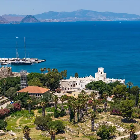 Memphis Center 科斯镇