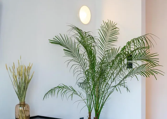 Ξενοδοχείο με διαμερίσματα Memphis Center Κως Πόλη